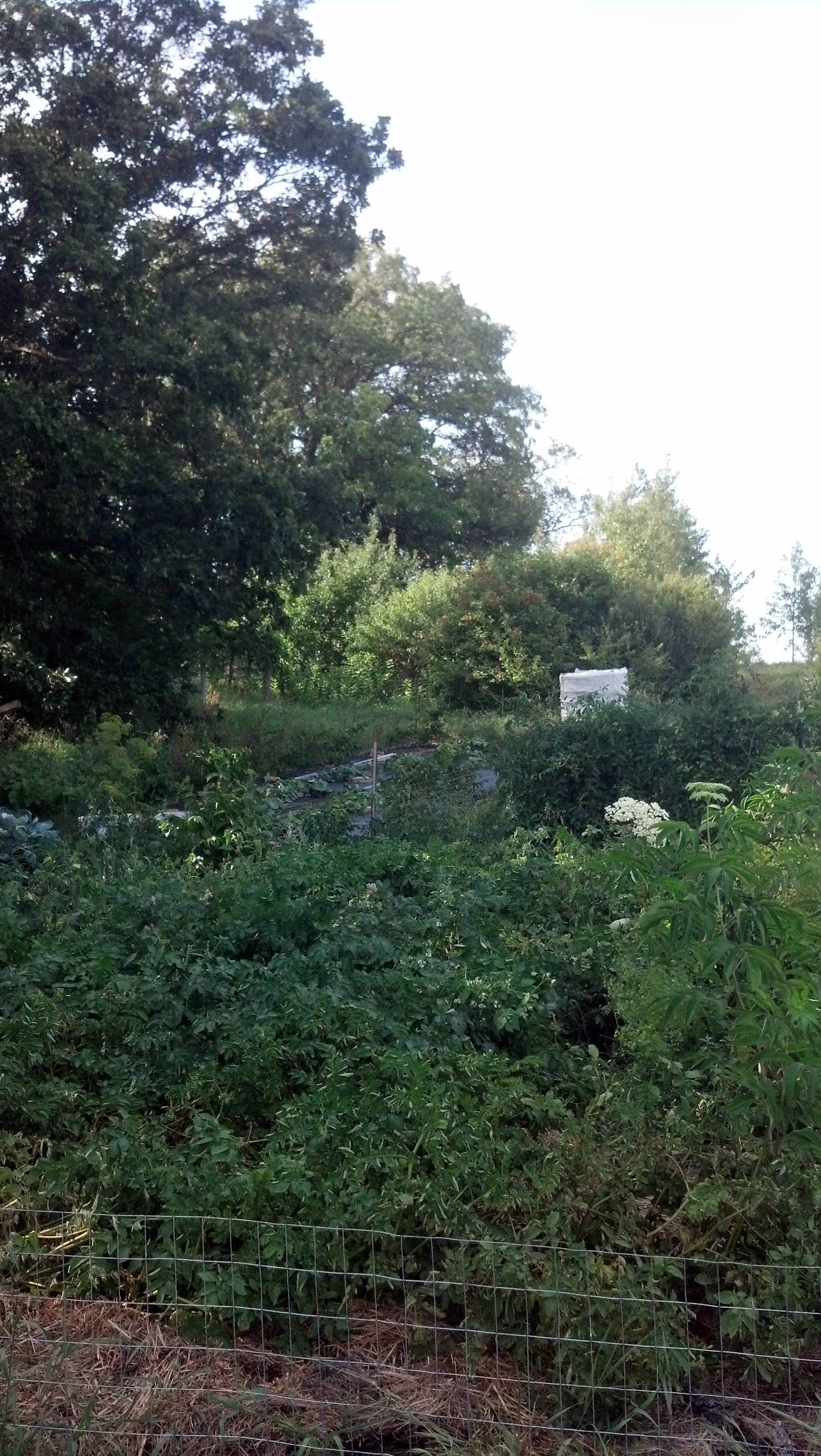 IMG_20130821_171121_956